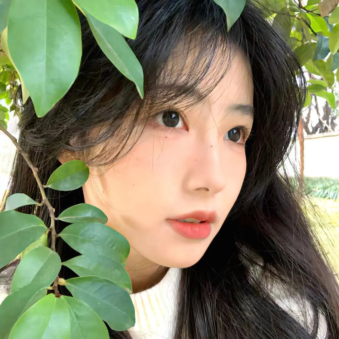 乔小姐她真的不爱了